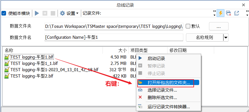 图片19 TSMaster记录？